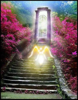 10501694_667511446688682_823540878129218282_n