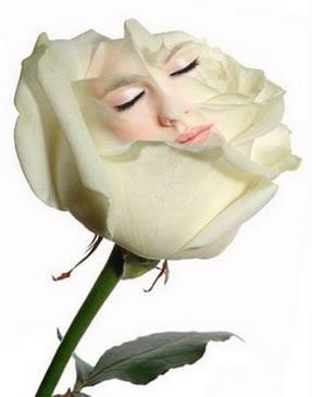 10678630_1399948033661824_4749875450504853950_n