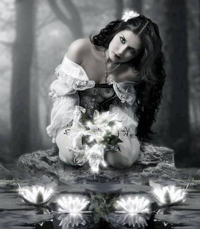 10805741_583041411796267_2738849683702381600_n