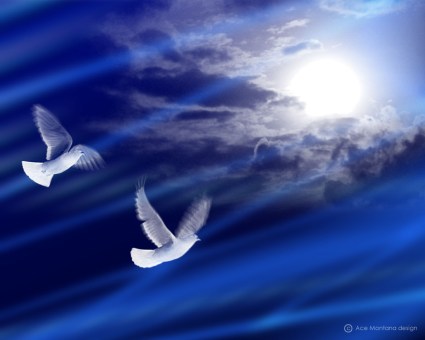 10866250_719430208165576_5254219091374764343_o