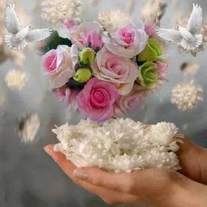 10923584_1647859518775091_6453152852045068421_n