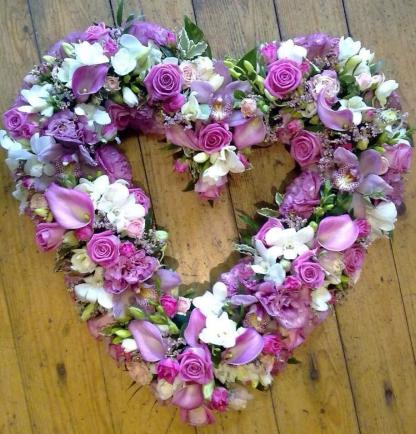 10954873_443925765778452_6490322181001065001_n