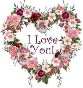 10955642_10205438526936774_6846375158990214376_n