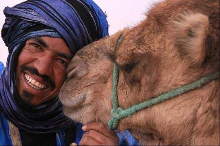 11026021_563829957090386_7683736628539720941_n