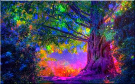 11067715_555959367880361_7872970088996058891_o