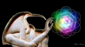 11188236_10206851900602372_1753111421938434883_n