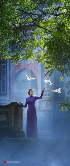 1975004_452091211620682_704610917690065511_n