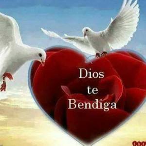 10172860_1428830217393850_5443037623439272681_n