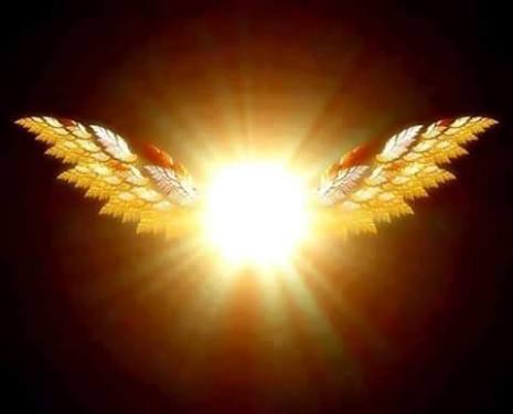 10426524_570820329687961_9011342905017468625_n