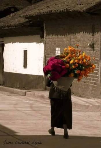 10629825_986961494681906_4064113443688058632_n