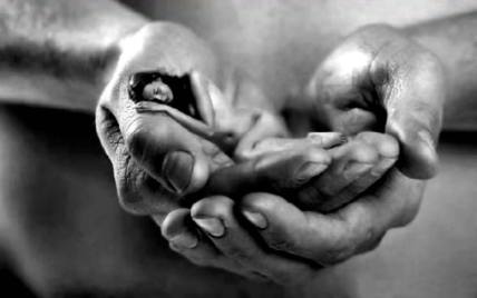 10888663_760277604061683_9162383659176877750_n