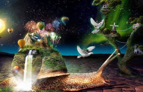 11009389_10153053418657839_1620079601440019614_n