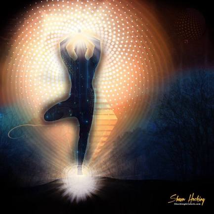 11081499_412542225591652_4929206875394402069_n