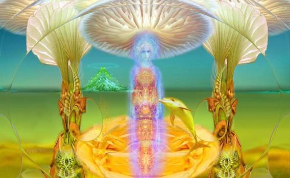 11254157_643703652430089_1036884925224894922_n