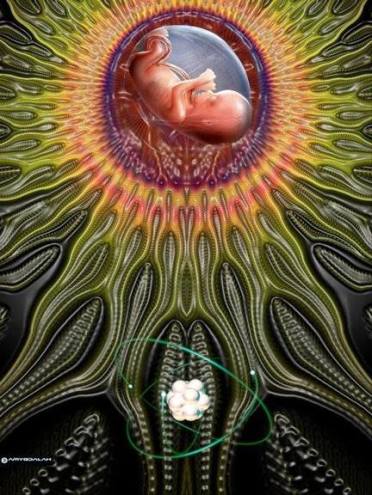 11295648_642909739176147_433220818522187974_n