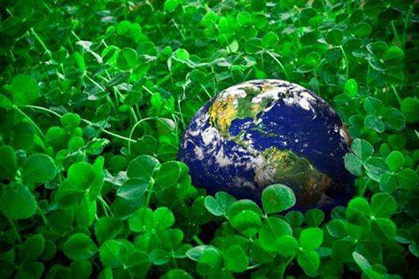 11406473_621308991305761_5343422066629416450_n