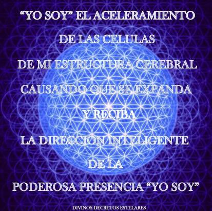 1545879_676938422408217_43961536198419677_n