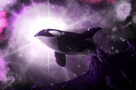 10384032_670768122995950_3498636516767218156_n