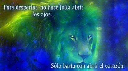 10388101_1713966958830893_2609744438872813136_n (1)