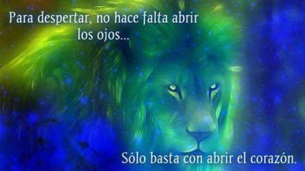 10388101_1713966958830893_2609744438872813136_n