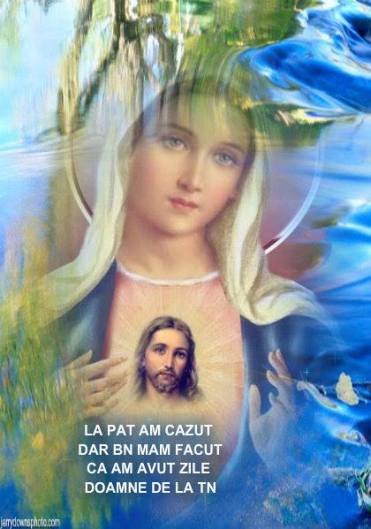 10494727_303075779892431_5938150554450074325_n