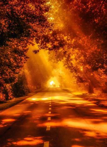 10569050_10203142574539560_6779913327324289463_n