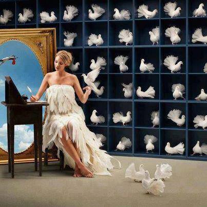 10653687_10205261628562996_1861405138902408989_n