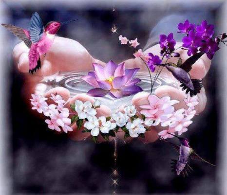 10703628_368401733334533_2595611845745405706_n