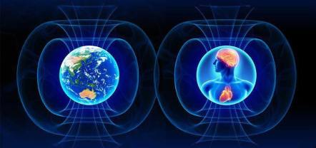 11038473_331086430394954_2327587465124737448_n