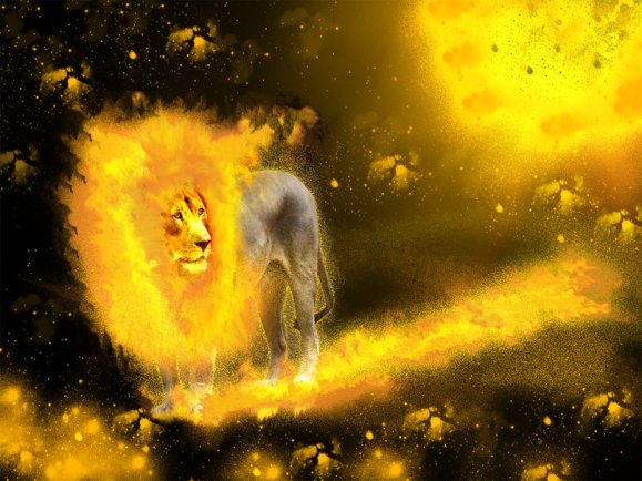 1125988__lion-fire_p