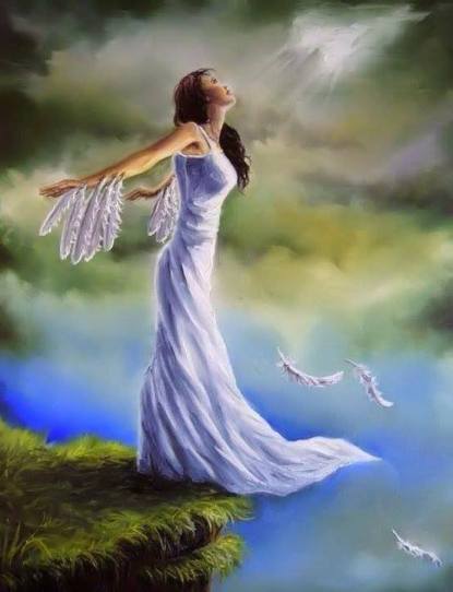 11390534_1603519549925410_2519454242391387618_n