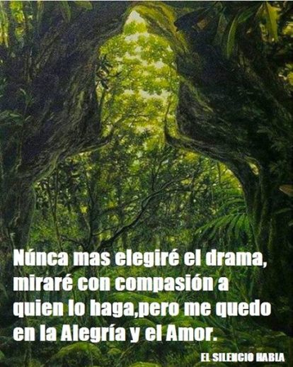 11393232_1648184182062375_6584391659899041190_n