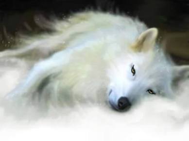 11536032_789444661171213_2840999721386029402_n