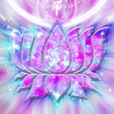 11694035_10152921631490598_1686439460525554819_n