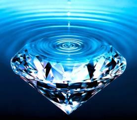 11702853_1088436421189299_6235255230238348531_n