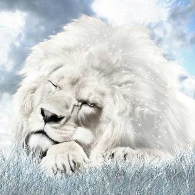 11745834_873298356092453_7088063125734652289_n