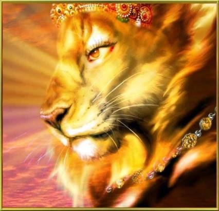 1621796_497868830323365_1922927014_n