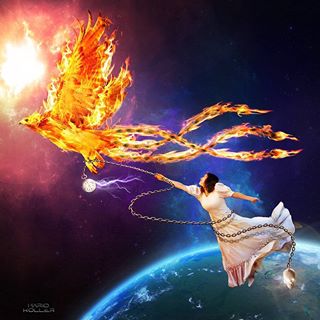 1920621_10152093251708565_2116648460_n