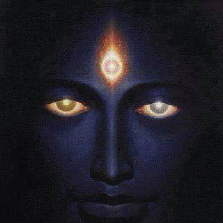 1975076_449969588485215_4189516355274260174_n