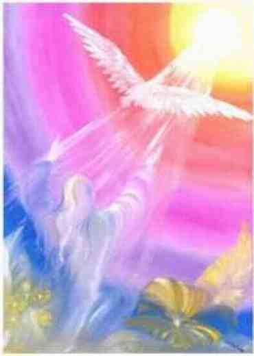 1000364_649895365033802_523138700_n