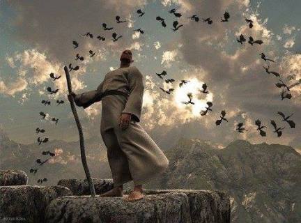 10277822_740619719321628_5702036747018006928_n