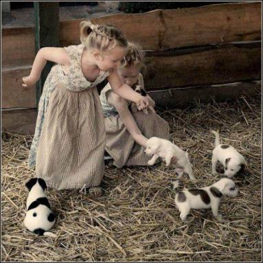 10356269_807116942677918_592164020770750343_n