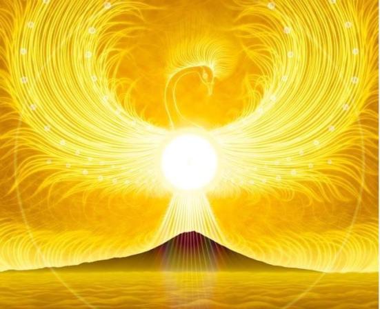 10532762_1439653022981987_8710241788308514865_n