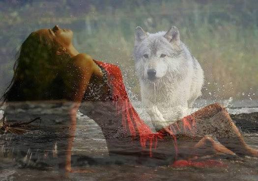 10580035_799797993409813_7007416472561814027_n