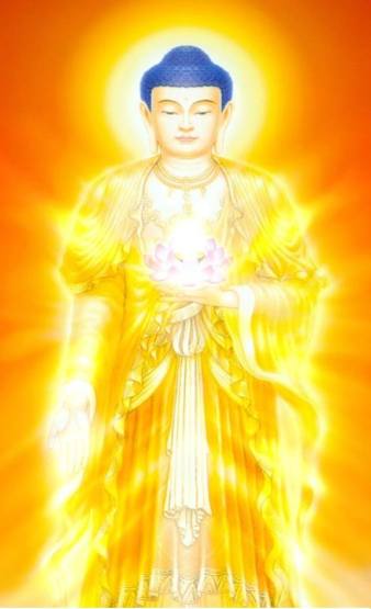 10660229_506426126168091_2213174862235164487_n