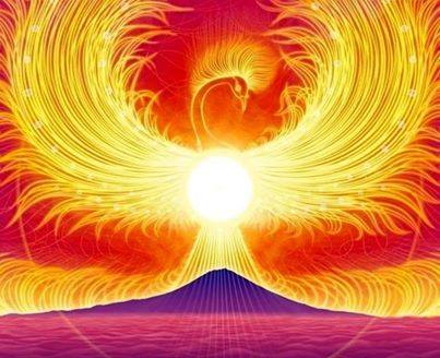 10891435_1012105178818956_4998371490968166251_n