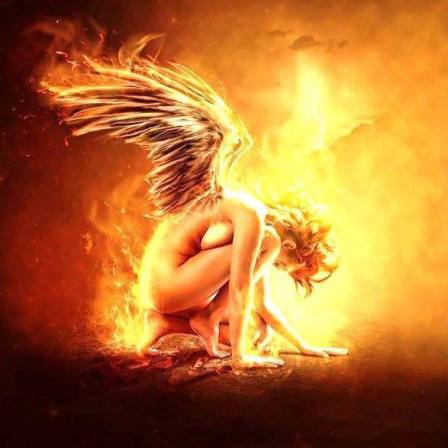 10996435_337275136462873_1708919853040963622_n