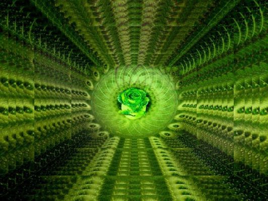 11041114_777371005695348_2308673383886889517_n