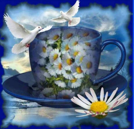 11221903_873109562778486_709714437147133357_n