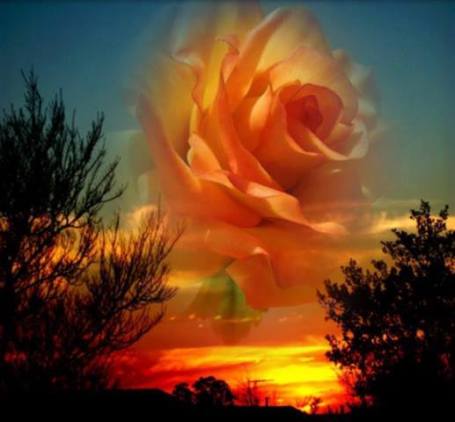 11222009_872907402798702_5994320844032676205_n